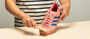 Hero Image of Cepillo para zapatos